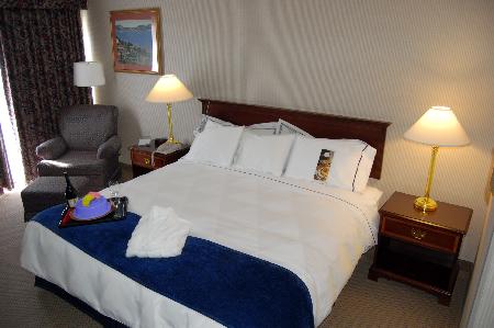 Radisson Hotel Sudbury 02.[1]